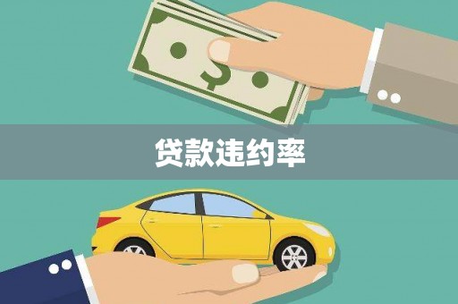 汶上贷款违约率