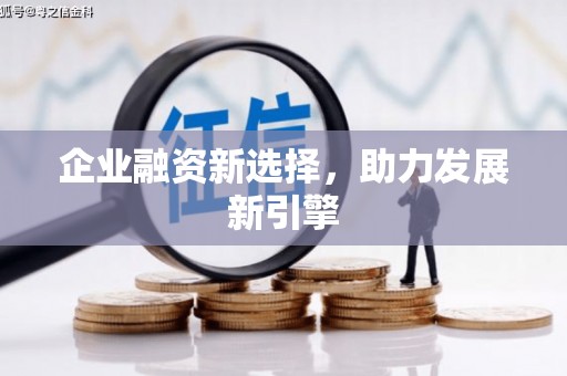 汶上企业融资新选择，助力发展新引擎