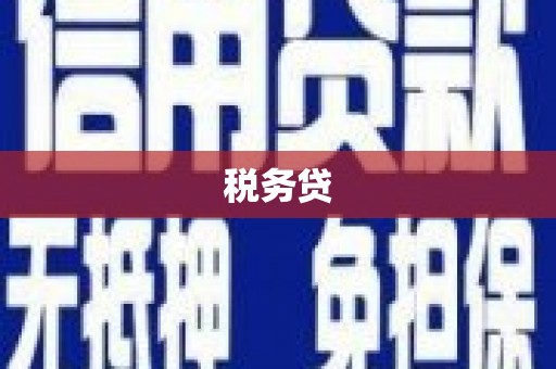 汶上税务贷