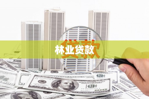 汶上林业贷款