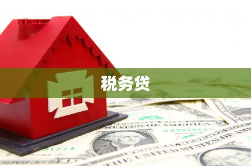 汶上税务贷