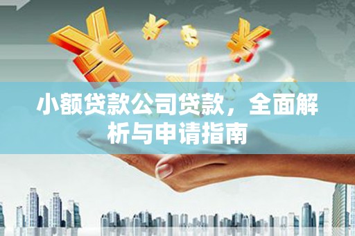 汶上小额贷款公司贷款，全面解析与申请指南