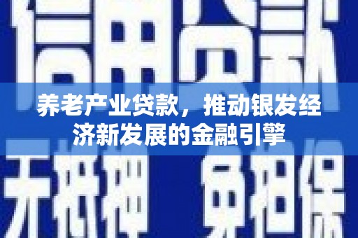 汶上养老产业贷款，推动银发经济新发展的金融引擎
