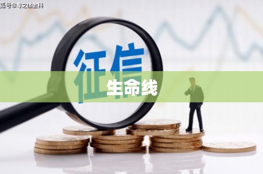汶上生命线