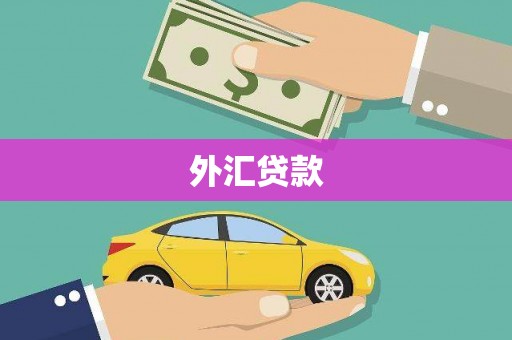 汶上外汇贷款