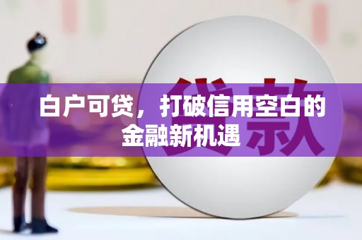 汶上白户可贷，打破信用空白的金融新机遇