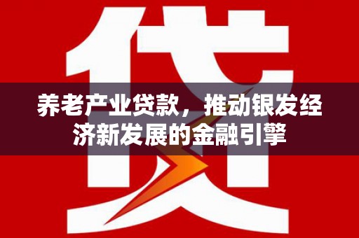 汶上养老产业贷款，推动银发经济新发展的金融引擎