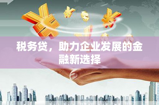 汶上税务贷，助力企业发展的金融新选择