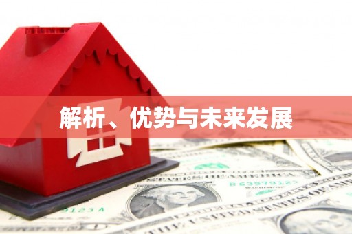 汶上解析、优势与未来发展