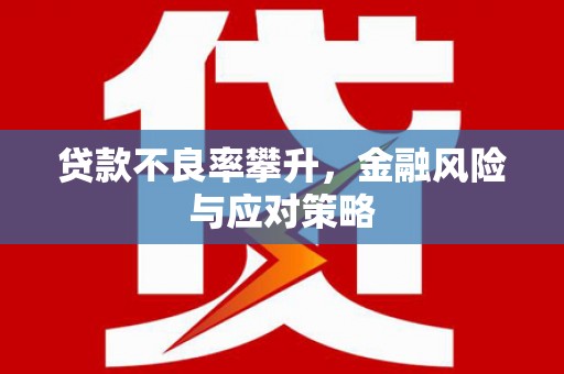 汶上贷款不良率攀升，金融风险与应对策略