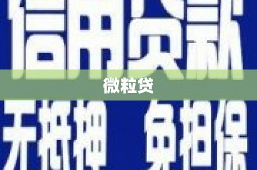 汶上微粒贷