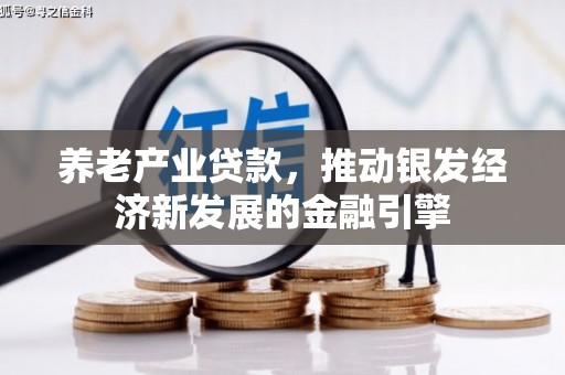 汶上养老产业贷款，推动银发经济新发展的金融引擎