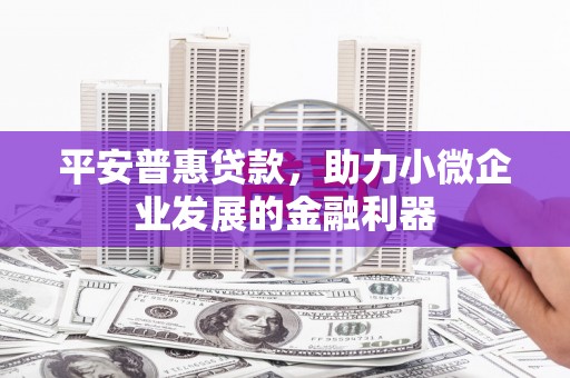 汶上平安普惠贷款，助力小微企业发展的金融利器