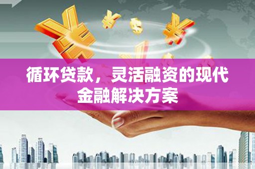 汶上循环贷款，灵活融资的现代金融解决方案