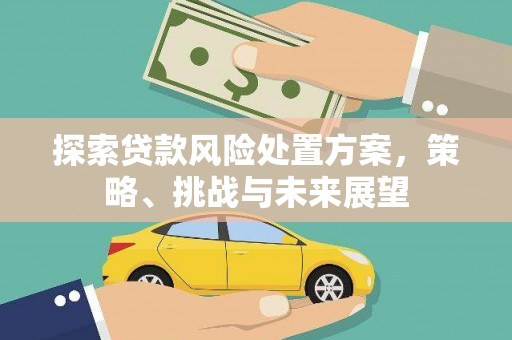 汶上探索贷款风险处置方案，策略、挑战与未来展望