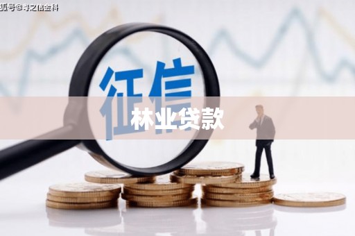 汶上林业贷款