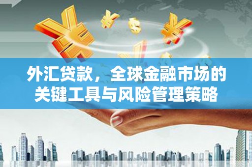 汶上外汇贷款，全球金融市场的关键工具与风险管理策略
