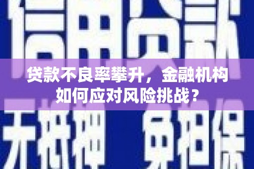 汶上贷款不良率攀升，金融机构如何应对风险挑战？