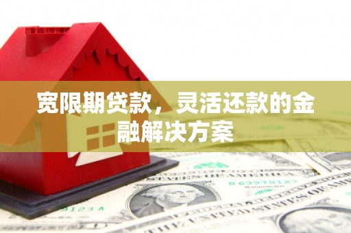 汶上宽限期贷款，灵活还款的金融解决方案