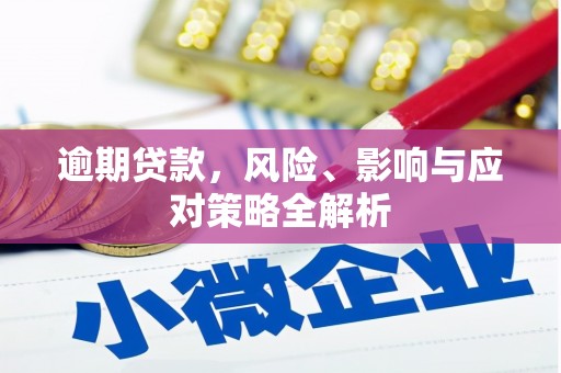 汶上逾期贷款，风险、影响与应对策略全解析