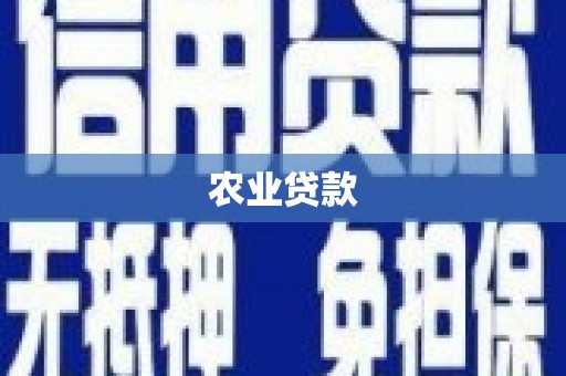 汶上农业贷款