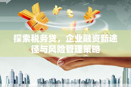汶上探索税务贷，企业融资新途径与风险管理策略