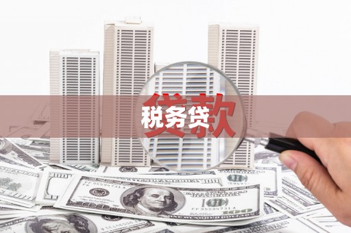 汶上税务贷