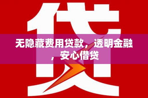 汶上无隐藏费用贷款，透明金融，安心借贷