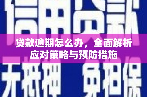 汶上贷款逾期怎么办，全面解析应对策略与预防措施