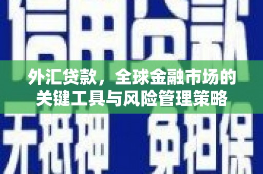 汶上外汇贷款，全球金融市场的关键工具与风险管理策略