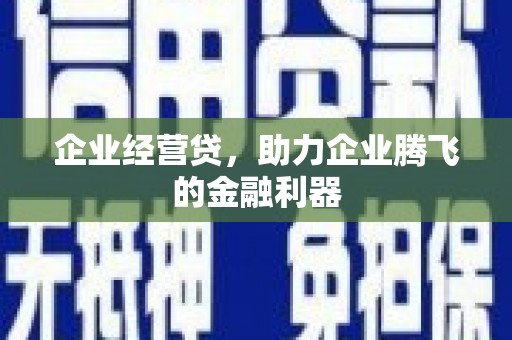 汶上企业经营贷，助力企业腾飞的金融利器