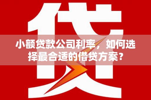汶上小额贷款公司利率，如何选择最合适的借贷方案？