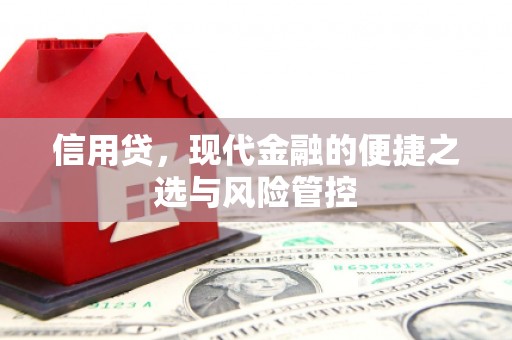 汶上信用贷，现代金融的便捷之选与风险管控