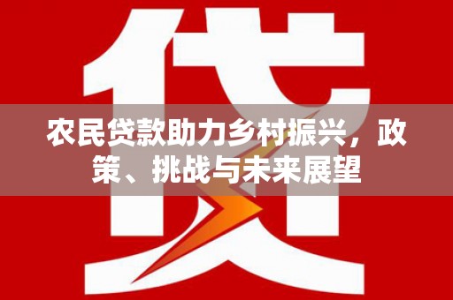 汶上农民贷款助力乡村振兴，政策、挑战与未来展望