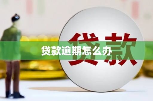 汶上贷款逾期怎么办