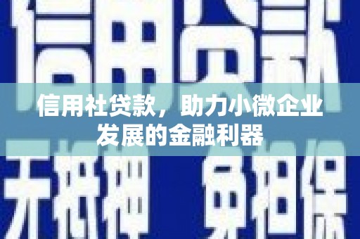 汶上信用社贷款，助力小微企业发展的金融利器