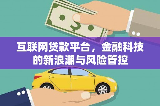 汶上互联网贷款平台，金融科技的新浪潮与风险管控