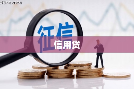 汶上信用贷
