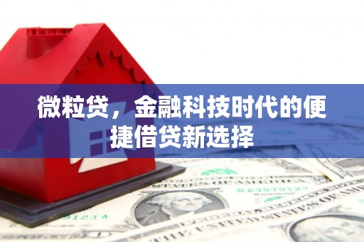 汶上微粒贷，金融科技时代的便捷借贷新选择