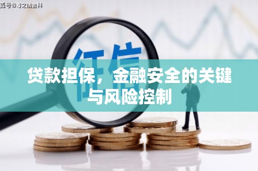 汶上贷款担保，金融安全的关键与风险控制