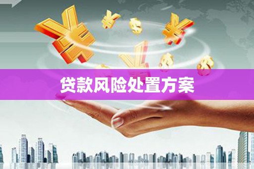 汶上贷款风险处置方案