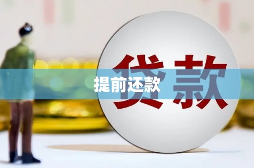 汶上提前还款