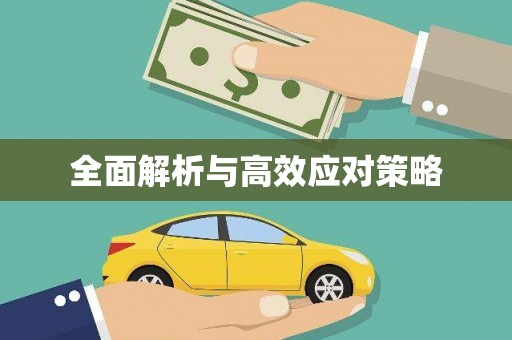 汶上全面解析与高效应对策略
