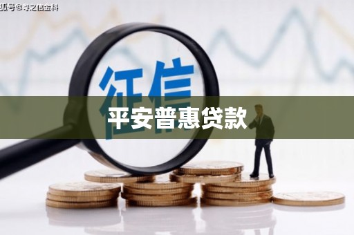 汶上平安普惠贷款